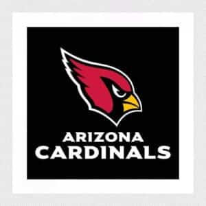 PARKING: Arizona Cardinals vs. New England Patriots