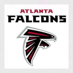 Atlanta Falcons vs. Pittsburgh Steelers