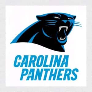 Carolina Panthers vs. Detroit Lions