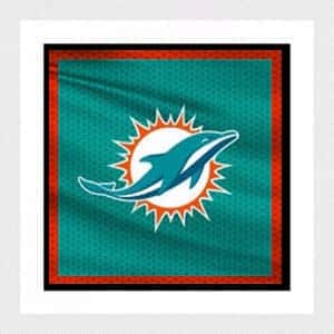 AFC Championship Game: Miami Dolphins vs. TBD (If Necessary)